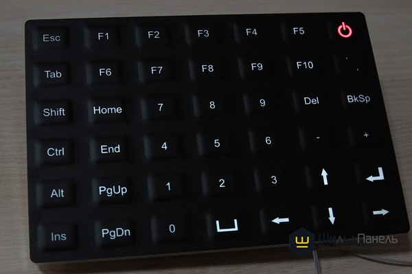 Лицевая приборная панель с пленочной клавиатурой и подсветкой №31084