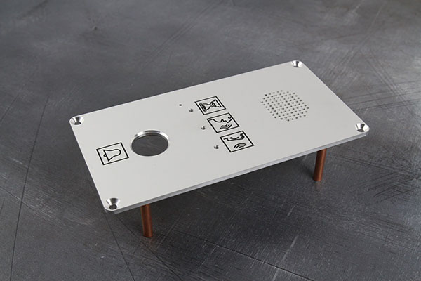 Вызывная панель системы экстренной голосовой связи