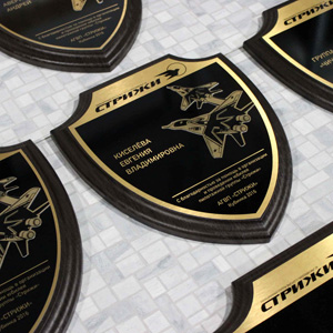 Наградные плакетки в форме щита